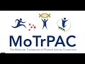 Understanding exercise and motrpac informational