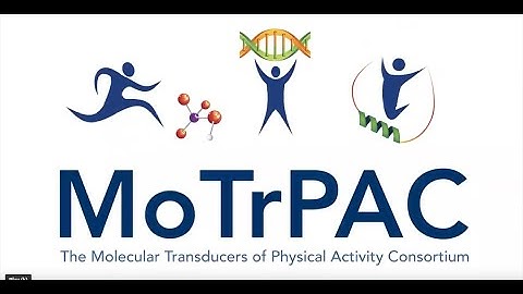 Understanding Exercise and MoTrPAC: Informational Video