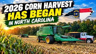 2026 Corn Harvest Begins | How Bad did The Drought Effect Our Early Planted Corn?