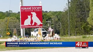 Humane Society of Houston County seeing an epidemic of animal abandonment