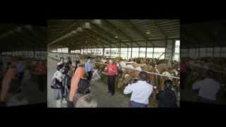 Tour Hoard's Dairyman Farm and offices