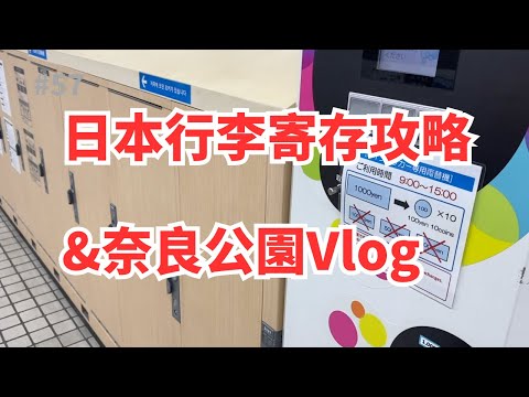 在日本如何寄存行李？奈良公園Vlog全程記錄，旅行必備攻略！