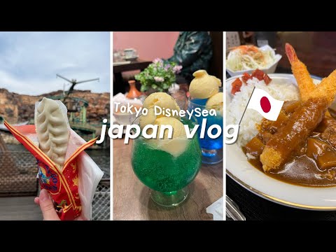 so ist tokyo disney sea wirklich! | japan vlog 3