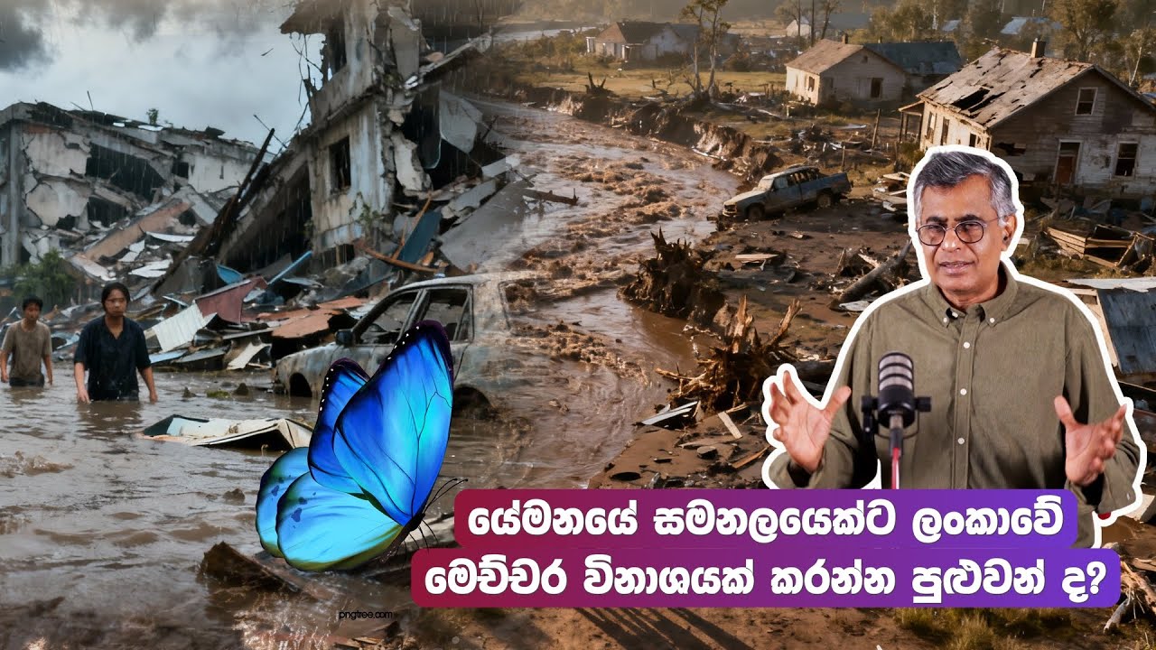 යේමනයේ සමනලයෙක්ට ලංකාවේ මෙච්චර විනාශයක් කරන්න පුළුවන් ද? | Introducing Chaos by Ziauddin S | Patali