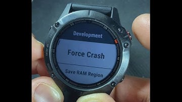 Wow! A "Secret" menu exists on Garmin Fenix 6, some Garmin Forerunner models too.