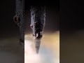 warmed Sloding Tip VS plastic Bottle #asmr #viral #shorts