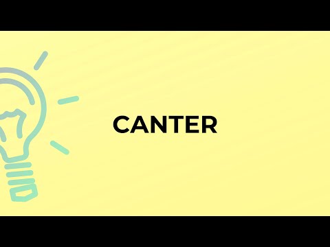 فيديو: ماذا يعني canter؟