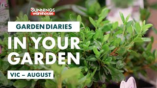 Gardening in August | VIC | Bunnings Garden Diary