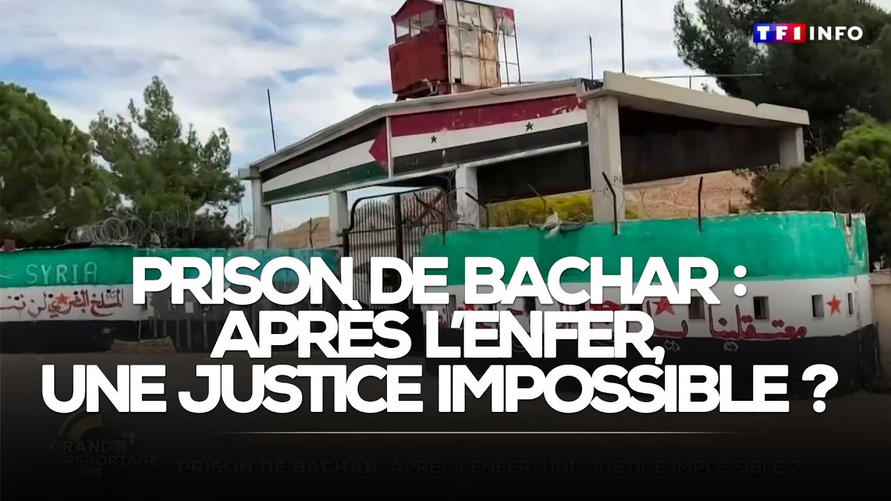 Au cœur de la plus cruelle prison d'Assad, un an après la chute du dictateur syrien｜TF1 INFO