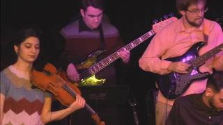 The Çay Party - Dennis Alexander's Violin (Calvin Vollrath)