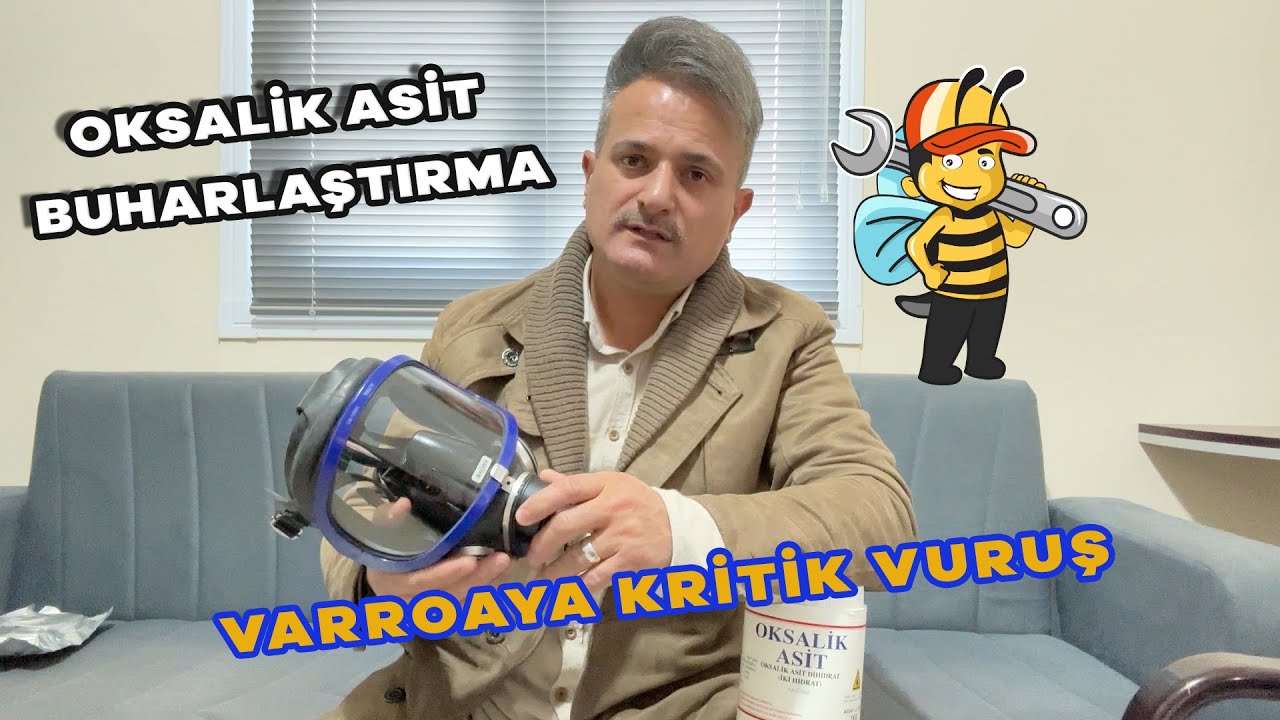 ИСПАРЕНИЕ ЩАВЕЛИЧНОЙ КИСЛОТЫ – КРИТИЧЕСКОЕ ПОРАЖЕНИЕ ДЛЯ 1 ВАРРОА