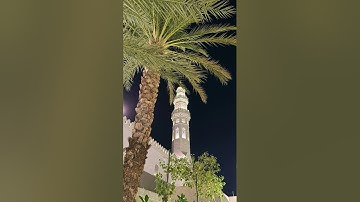 سورة نوح - الشيخ: #ياسر_المرعشي - وفقه الله - صلاة الفجر - 47/5/24هـ.