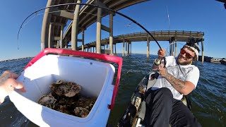 How to Catch Sheepshead With OYSTERS  Forget About Fiddlers! | HUGE New PB