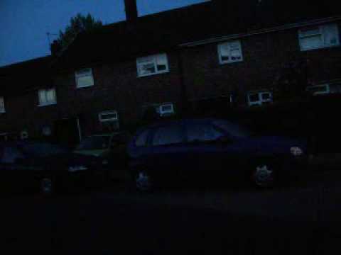 birdsong in the street outside my house. 4:30 am