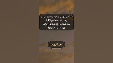 سورة القصص الآية ٣١ و ٣٢ بصوت الشيخ محمد صديق المنشاوي