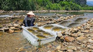 Full video of 15 days of a girl trapping fish by a large stream and harvesting a lot of fish to sell
