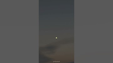 فيصل الهاجري - سورة الفجر
