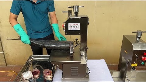 MÁY CƯA XƯƠNG CÁ, CẮT CÁ ĐÔNG LẠNH   BÀN LẬT PHIÊN BẢN 2023