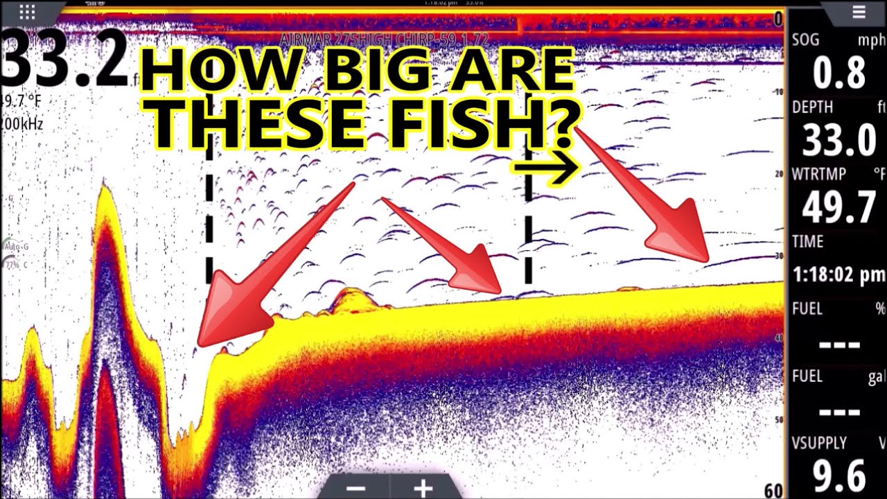 Sonar for Dummies! Fish Finder Explained for BEGINNERS! (L3) 