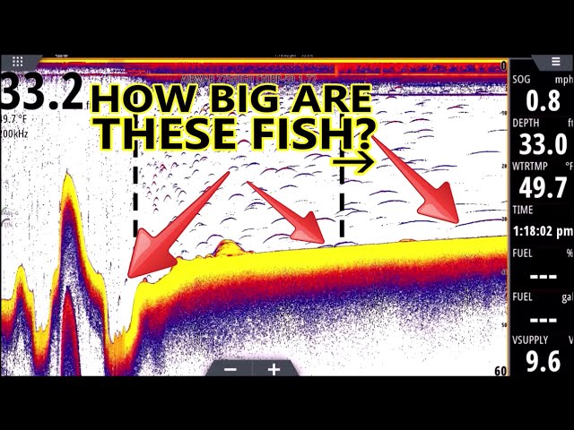 reading sonar fish finders Sonar for Dummies! Fish Finder Explained for BEGINNERS! (L3)