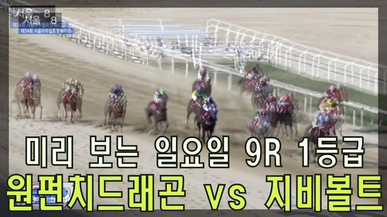 [경마 예상 방송 원석 경마] 미리 보는 2026년 7월 19일 일요일 서울9경주 1등급 1800M 경주~!!!
