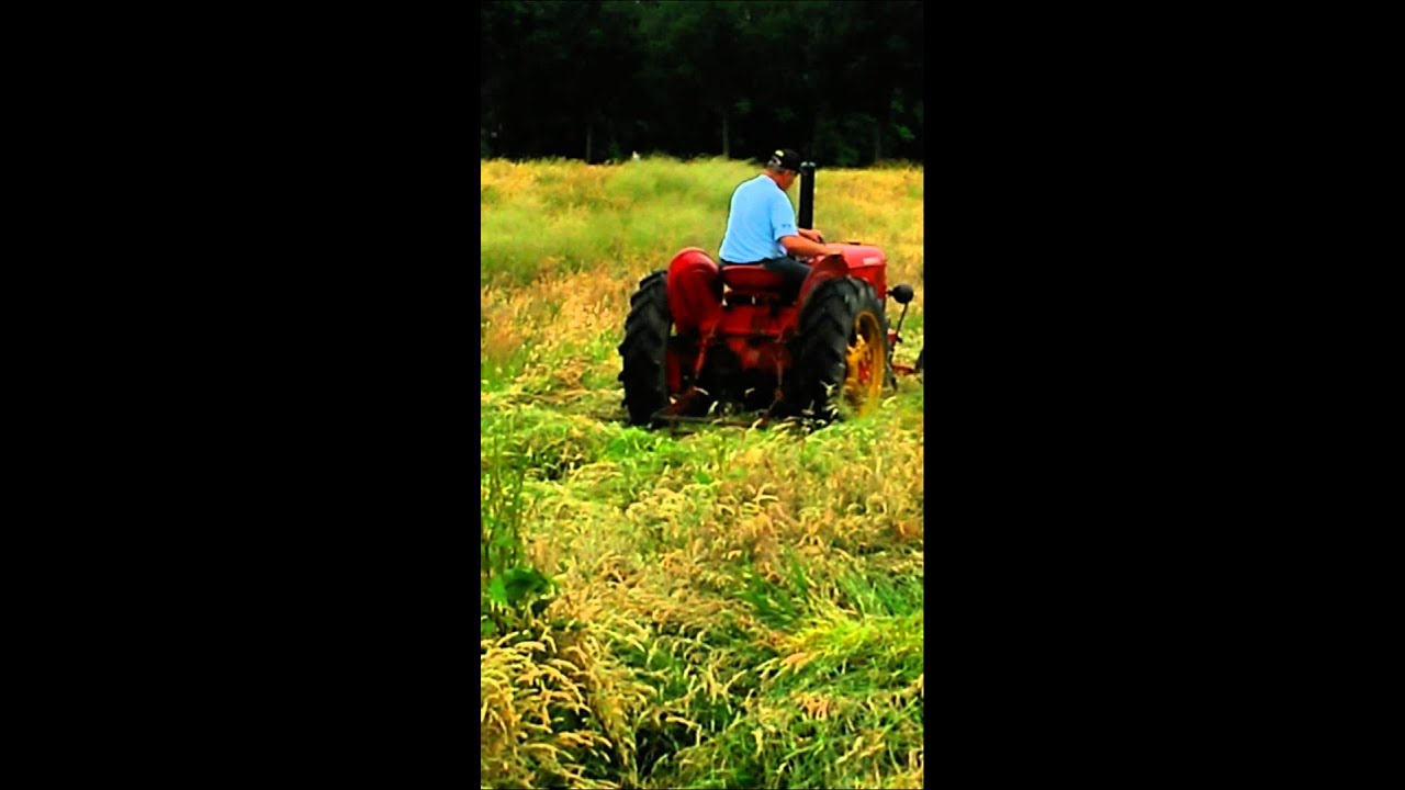 David Brown 25D grass mowing with finger bar