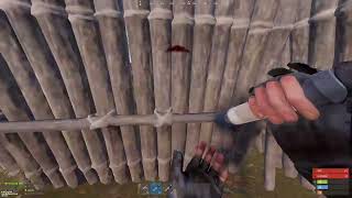 Heads Are NOT Safe in SEA | Rust PvP Highlights