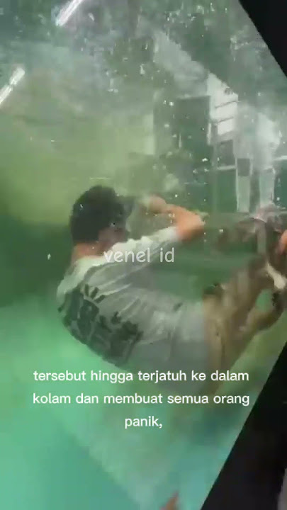 Pria ini tersambar ikan besar!!! #kecelakaan #ikan #prank