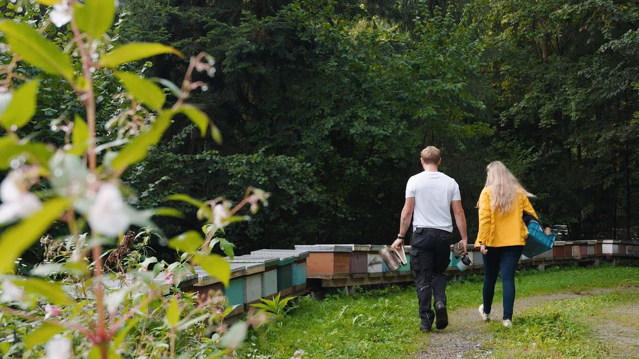 Ein Tag im Leben einer Imkerfamilie