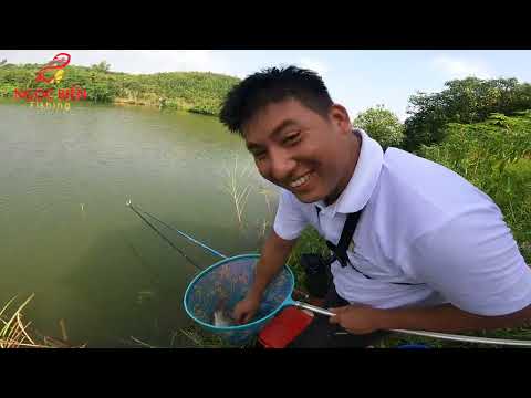 Câu cá Rô Phi hồ bán tự nhiên - Giật cháy lông nách chỉ với một nửa gói mồi