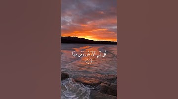 أرح سمعك 🤍🌿 ستوريات انستا قران كريم ايات قرانية قصيرة || حالات واتس قران صوت #القارئ_ياسر_الدوسري 🤍🌿