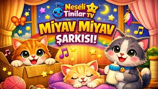 Miyav Miyav Şarkısı Çocuklar İçin Neşeli Müzik 🎵🐾
