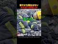 華やかな舞台はない.命を救う英雄には #Shorts #消防士 #hero #firefighter