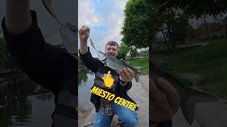 Žvejoju miesto SALATĮ #zvejyba #fishing #salatis