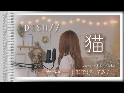 猫/DISH//【女性カバー・ハモリ・歌詞付き】女性キー（＋3）で歌ってみた（covered by noka）