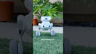 Meet Beni :) My 4k Autonomous Camera Robot from MondoRobotics.com