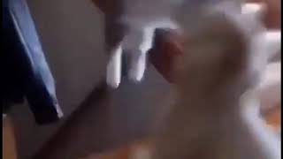 Hayatına Böyle Girsem Napabilirsin Ki ?