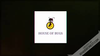 S.nobilis update pre rehousing video