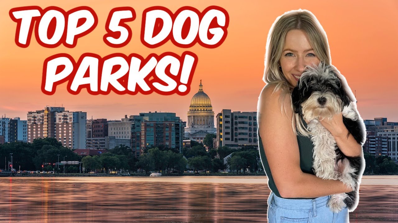 Top 5 Dog Parks In Madison WI YouTube top-5-dog-parks-in-madison-wi-youtube