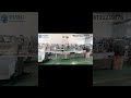 Servo system beef strips vacuum sachet orientation sorting counting machine