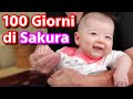 I primi 100 giorni di Sakura! Festeggiamo dal Suocero Samurai! - Vivi Giappone