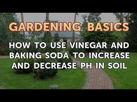 How to Use Vinegar and Baking Soda to Increase and Decrease PH in Soil
