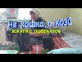 VLOG:не кошка,а коза \ закупка продуктов