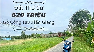 TẬP 50 ❤️ĐẤT THỔ CƯ MẶT NHỰA , GIÁ MỀM ,XÃ THÀNH CÔNG ,HUYỆN GÒ CÔNG TÂY ,TIỀN GIANG