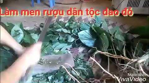 Hướng dẫn cách làm men rượu dân tộc dao đỏ - Người vùng cao là thế