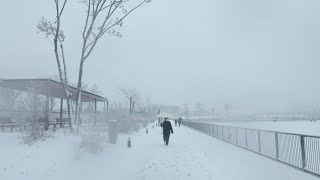 Walking around Seoul Botanical Garden Lake Park in heavy snow  /  Seoul Traveler  /  4K UHD 60fps by Seoul Trip Walk 8,864 views 1 year ago 55 minutes