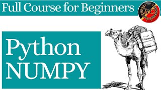 Complete NUMPY in 1 hr course for beginners! #Numpy (Arrays, Indexing, Reshaping, Slices, Insert)
