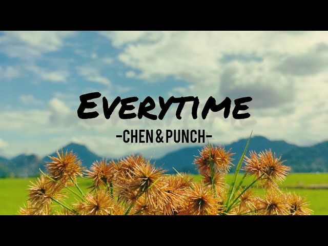 EVERYTIME - Chen ( EXO ) x Punch | Ost. Descendants of the sun