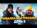 АСТРАХАНЬ ДЕНЬ 3. ИССЛЕДУЕМ НОВЫЙ ЕРИК.