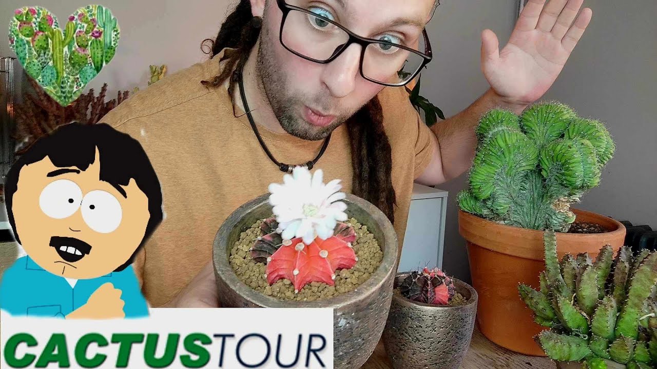 CACTUS TOUR 🌵 Partie 3 : Gymno variegata et autres!